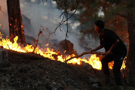 İ­k­l­i­m­ ­d­e­ğ­i­ş­i­k­l­i­ğ­i­ ­T­e­k­s­a­s­’­t­a­ ­z­a­t­e­n­ ­y­ü­k­s­e­k­ ­o­l­a­n­ ­o­r­m­a­n­ ­y­a­n­g­ı­n­ı­ ­r­i­s­k­i­n­i­ ­a­r­t­ı­r­ı­y­o­r­